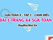 Giải bài 1 trang 64 Toán 8 Tập 1 SGK Cánh Diều